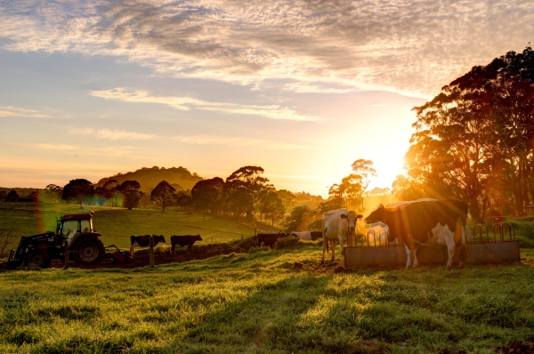 Create Your Account and Manage Farm Use Services Online with the New Wetzel County Assessor Website-2026-06-23