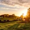 Create Your Account and Manage Farm Use Services Online with the New Wetzel County Assessor Website-2026-06-23